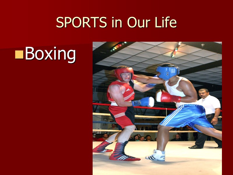 SPORTS in Our Life Boxing